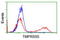 Transmembrane Serine Protease 5 antibody, TA503429, Origene, Flow Cytometry image 