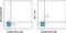 Ly55c antibody, 12-5941-63, Invitrogen Antibodies, Flow Cytometry image 