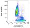 CD99 Molecule (Xg Blood Group) antibody, GTX78313, GeneTex, Flow Cytometry image 