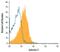 Galectin 9 antibody, MA5-24369, Invitrogen Antibodies, Flow Cytometry image 