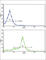 Growth Differentiation Factor 6 antibody, abx033429, Abbexa, Western Blot image 