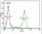 DDX11 antibody, PA5-23956, Invitrogen Antibodies, Flow Cytometry image 