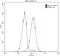 Sequestosome 1 antibody, 66184-1-Ig, Proteintech Group, Flow Cytometry image 