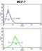 Keratin 13 antibody, abx032946, Abbexa, Flow Cytometry image 