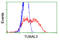 Tubulin Alpha Like 3 antibody, TA503931, Origene, Flow Cytometry image 