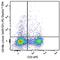 C-X-C Motif Chemokine Receptor 6 antibody, 151117, BioLegend, Flow Cytometry image 