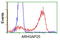 Rho GTPase Activating Protein 25 antibody, LS-C115660, Lifespan Biosciences, Flow Cytometry image 