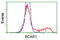 BCAR1 Scaffold Protein, Cas Family Member antibody, LS-C172803, Lifespan Biosciences, Flow Cytometry image 