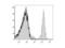 CD8 antibody, LS-C772580, Lifespan Biosciences, Flow Cytometry image 