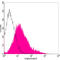 Creatine Kinase, M-Type antibody, LS-C203177, Lifespan Biosciences, Flow Cytometry image 