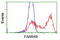 LRAT Domain Containing 2 antibody, LS-C115764, Lifespan Biosciences, Flow Cytometry image 