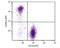 CD90.2 antibody, NBP1-28036, Novus Biologicals, Flow Cytometry image 