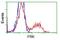 Fyn Related Src Family Tyrosine Kinase antibody, GTX84481, GeneTex, Flow Cytometry image 