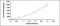 Interleukin 18 antibody, MBS2024682, MyBioSource, Enzyme Linked Immunosorbent Assay image 