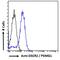 Proteasome Assembly Chaperone 1 antibody, 42-077, ProSci, Enzyme Linked Immunosorbent Assay image 