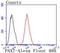 Paired Box 7 antibody, A00845-1, Boster Biological Technology, Flow Cytometry image 