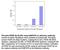 Phosphotyrosine antibody, HAM1676, R&D Systems, Enzyme Linked Immunosorbent Assay image 