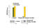 Tubulin Alpha 1b antibody, 7944C, Cell Signaling Technology, Enzyme Linked Immunosorbent Assay image 