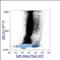 IgM antibody, A51012, Invitrogen Antibodies, Flow Cytometry image 