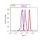 Bruton Tyrosine Kinase antibody, 720065, Invitrogen Antibodies, Flow Cytometry image 