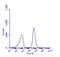 Sequestosome 1 antibody, PA5-27247, Invitrogen Antibodies, Flow Cytometry image 