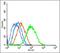 SET Domain Bifurcated Histone Lysine Methyltransferase 1 antibody, orb157759, Biorbyt, Flow Cytometry image 