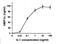 C-C Motif Chemokine Ligand 20 antibody, DDX0430P-100, Novus Biologicals, Enzyme Linked Immunosorbent Assay image 