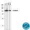 Cadherin 1 antibody, AF748, R&D Systems, Western Blot image 