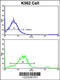 Lipin 2 antibody, 63-529, ProSci, Flow Cytometry image 