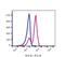 CD5 Molecule antibody, FC00480-PerCP-Cy5.5, Boster Biological Technology, Flow Cytometry image 