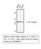 Chromobox 5 antibody, STJ98895, St John