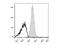 CD48 Molecule antibody, LS-C810890, Lifespan Biosciences, Flow Cytometry image 