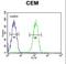 Bridging Integrator 2 antibody, LS-C156818, Lifespan Biosciences, Flow Cytometry image 