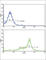 Caveolin 3 antibody, abx032841, Abbexa, Western Blot image 