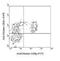 CD8b Molecule antibody, NBP1-28300, Novus Biologicals, Flow Cytometry image 