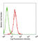 Cytochrome C, Somatic antibody, 612304, BioLegend, Immunocytochemistry image 