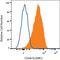 CD48 Molecule antibody, MAB3644, R&D Systems, Western Blot image 