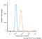 Calreticulin antibody, NBP1-47518, Novus Biologicals, Flow Cytometry image 