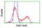 Ring Finger Protein 144B antibody, TA500698, Origene, Flow Cytometry image 