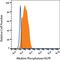 Alkaline Phosphatase, Placental antibody, NB110-3638, Novus Biologicals, Flow Cytometry image 