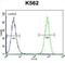 TATA-Box Binding Protein Associated Factor 4b antibody, abx026627, Abbexa, Flow Cytometry image 