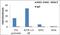 Histone Deacetylase 3 antibody, MA5-15442, Invitrogen Antibodies, Chromatin Immunoprecipitation image 