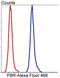 Translocator protein antibody, NBP2-67293, Novus Biologicals, Flow Cytometry image 