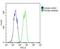 Glutathione Peroxidase 1 antibody, 63-890, ProSci, Immunohistochemistry paraffin image 