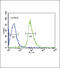 EH Domain Containing 3 antibody, 62-928, ProSci, Immunofluorescence image 