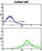 CD8b Molecule antibody, abx028037, Abbexa, Flow Cytometry image 