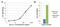 Apolipoprotein A1 antibody, MA5-14732, Invitrogen Antibodies, Enzyme Linked Immunosorbent Assay image 