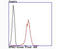 PTAC58 antibody, A01776-2, Boster Biological Technology, Flow Cytometry image 