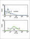 Zinc Finger FYVE-Type Containing 16 antibody, abx032417, Abbexa, Flow Cytometry image 