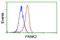 Pantothenate Kinase 2 antibody, LS-C115407, Lifespan Biosciences, Flow Cytometry image 